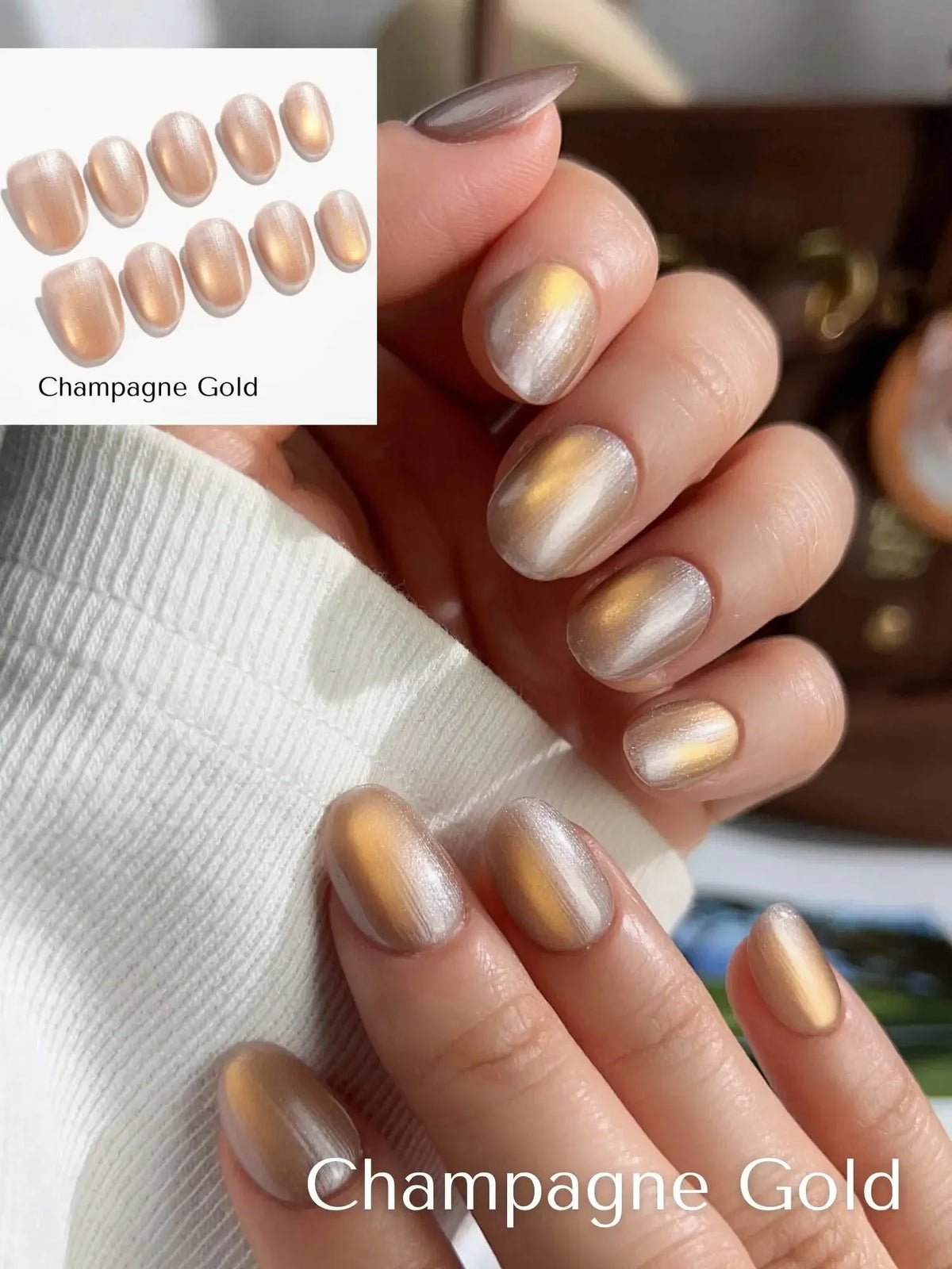 Cat Eye glass Pure Edition Reusable Press On Nails