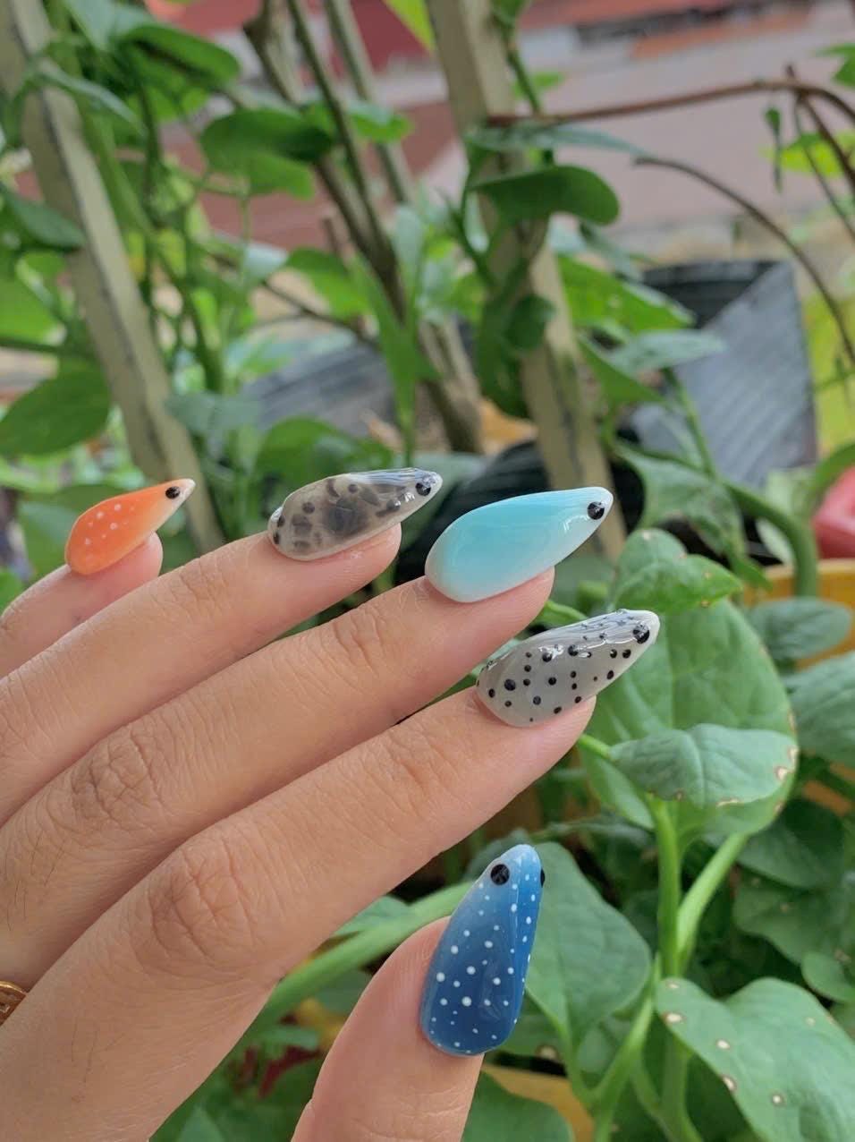 Shark Press On Nails | Ocean Animal Nail Art, Handmade