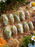 Mosses Nightlight Moss Reusable Press On Nails