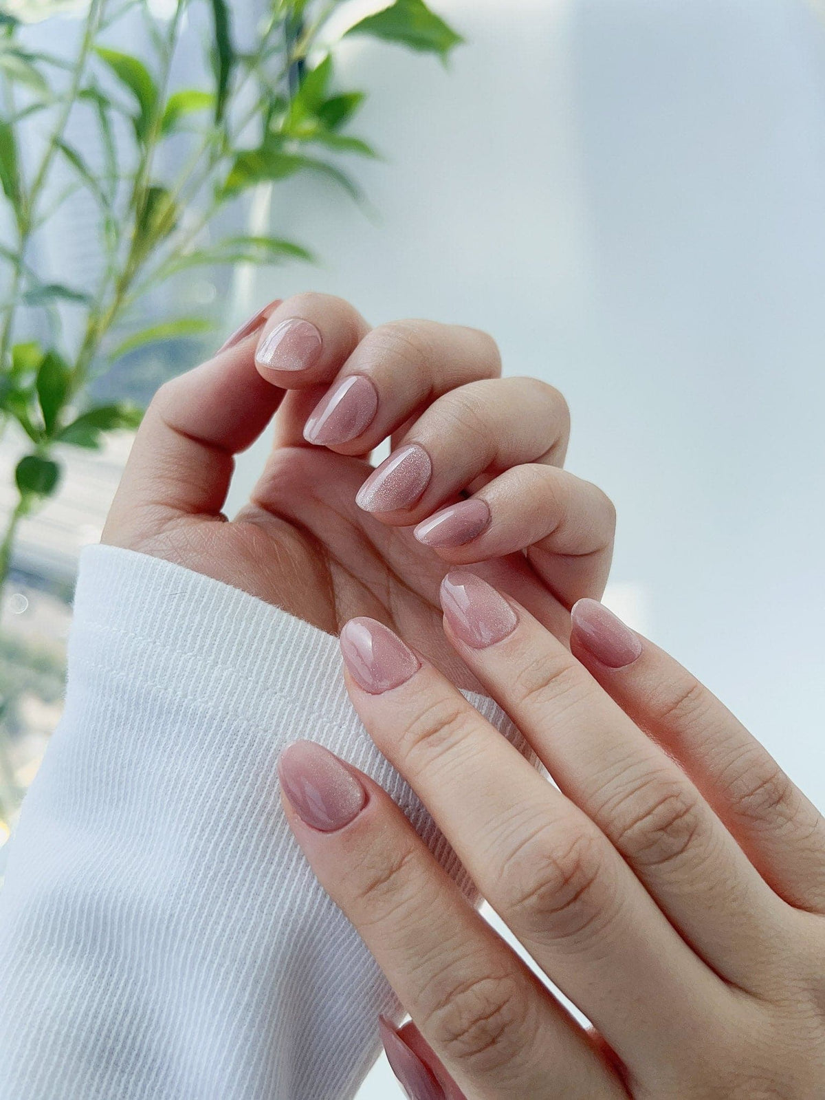 Nude Blush Cat Eye Reusable Press On Nails