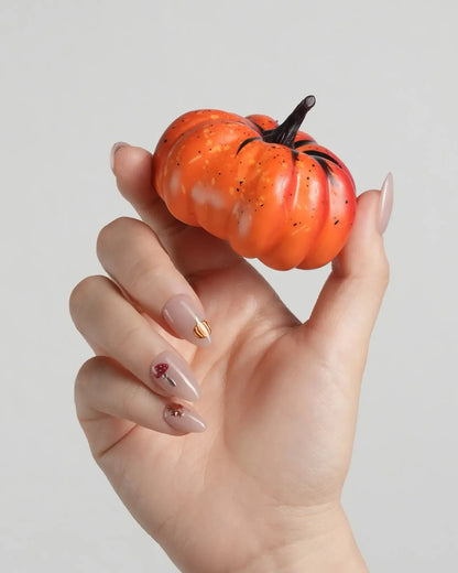 Treat Box Reusable Press On Nails